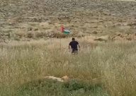 شاهد: اصابة مستوطن بانفجار عبوة لحظة ازالة العلم الفلسطيني 